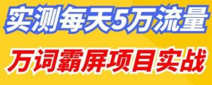 百度万词霸屏实操项目引流课,30天霸屏10万关键词-网赚资源网