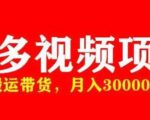 多多带货视频快速50爆款拿带货资格,搬运带货,月入30000【全套脚本+详细玩法】-网赚资源网