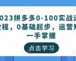2023拼多多0-100实战运营教程，0基础起步，运营知识一手掌握-网赚资源网