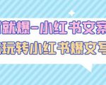 一写就爆-小红书文案课:带你玩转小红收爆文写作(45节课)-网赚资源网