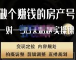 刘广标·同城房产号线上陪跑课，拍摄、剪辑、写文案、直播，做一个具有潜力价值的房产号-网赚资源网