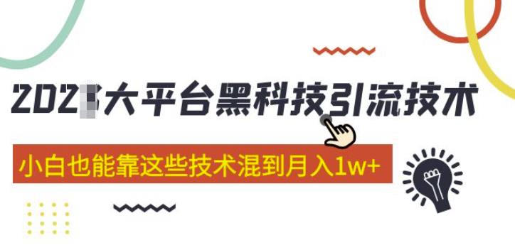 大平台黑科技引流技术，小白也能靠这些技术混到月入1w+(2022年的课程） - 网赚资源网-网赚资源网