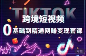 跨境短视频TIKTOK 0基础到精通网赚变现套课，跨境短视频独立站带货变现技巧-网赚资源网