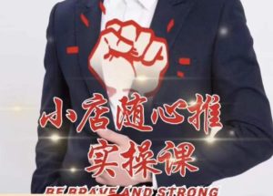 随心推线上课,小店随心推的投放逻辑,投放技巧,快速打标签-网赚资源网