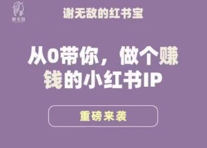 谢无敌·小红书运营大宝典,从0带你做个赚钱的小红书IP-网赚资源网