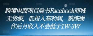跨境电商项目脸书Facebook商城无货源,低投入高利润,熟练操作后月收入不会低于1W-3W-网赚资源网