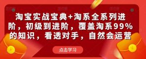 淘宝实战宝典+淘系全系列进阶,初级到进阶,覆盖淘系99%的知识,看透对手,自然会运营-网赚资源网