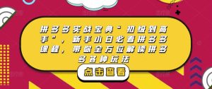 拼多多实战宝典“初级到高手”，新手小白必看拼多多课程，带你全方位解读拼多多各种玩法-网赚资源网