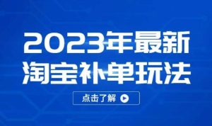 2023年最新淘宝补单玩法,18节课让教你快速起新品,安全不降权-网赚资源网