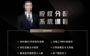 韩老师聊美业-美业股权分配系统课程，如何制定约束股东规则+老板占100%的股份+单店老板占小股份等-网赚资源网