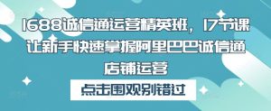 1688诚信通运营精英班,17节课让新手快速掌握阿里巴巴诚信通店铺运营-网赚资源网