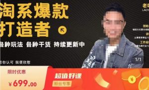 锋投老叶全店动销,淘系干货汇总,各种玩法,淘系爆款打造者-网赚资源网