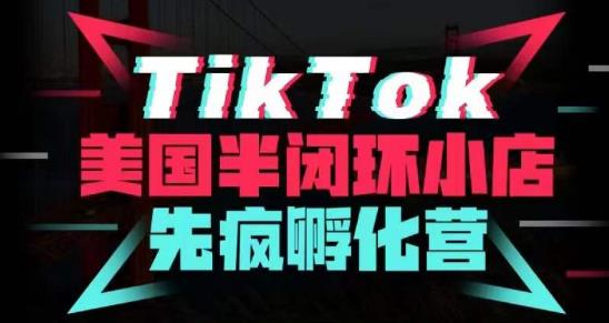 疯人院·TikTok美国半闭环小店孵化营，抢占TikTok美国蓝海市场，开店、运营、带货、投流全实操 - 网赚资源网-网赚资源网