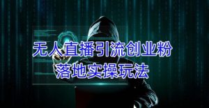 外面收费3980的无人直播引流创业粉落地实操玩法，单日引100+精准创业粉-网赚资源网