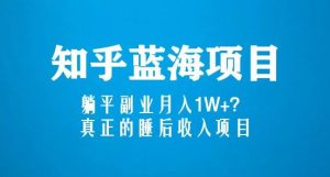 知乎蓝海玩法,躺平副业月入1W+,真正的睡后收入项目(6节视频课)-网赚资源网