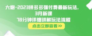 大炮·2023拼多多强付费最新玩法，3月新课​78分钟详细讲解玩法流程-网赚资源网