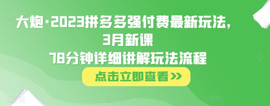 大炮·2023拼多多强付费最新玩法，3月新课​78分钟详细讲解玩法流程 - 网赚资源网-网赚资源网