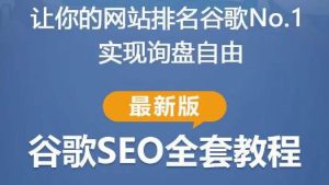 谷歌SEO实战教程:如何让你的网站在谷歌排名第一,内容从入门到高阶,适合个人及团队-网赚资源网