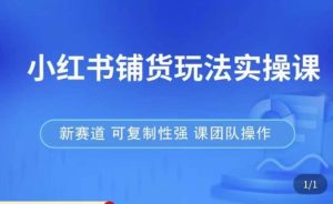 小红书铺货玩法实操课,流量大,竞争小,非常好做,新赛道,可复制性强,可团队操作-网赚资源网