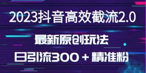 日引300+创业粉,独家抖音高效截流2.0玩法(价值1280)-网赚资源网