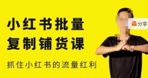 张宾·小红书批量复制铺货课,小红书0-1快速起号变现玩法,抓住小红书的流量红利(更新2023年3月)-网赚资源网