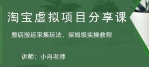 淘宝虚拟整店搬运采集玩法分享课:整店搬运采集玩法,保姆级实操教程-网赚资源网