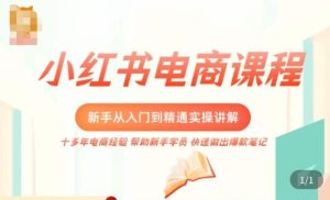 小红书电商新手入门到精通实操课，从入门到精通做爆款笔记，开店运营-网赚资源网