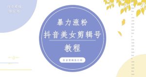 抖音快手暴力涨粉美女混剪视频教程，百分百过原创图片教程！附带违规申诉方法-网赚资源网