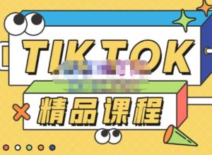 电商孵化中心·TikTok精品课程,教你玩转海外抖音,低成本创业,带您从0开始玩转TikTok-网赚资源网