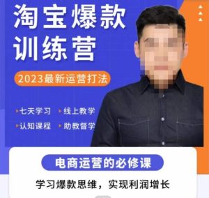 爱上黄昏·淘宝爆款训练营,2023最新运营打法,学习爆款思维,实现利润增长-网赚资源网