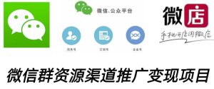微信群码资源渠道内循环推广变现项目，多种变现方式，打通你的管道收益-网赚资源网