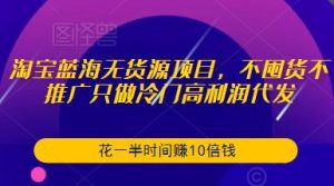 淘宝蓝海无货源项目,不囤货不推广只做冷门高利润代发,花一半时间赚10倍钱-网赚资源网