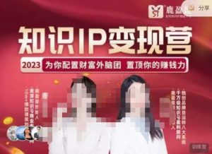 鹿盈盈-知识IP变现实操营,普通人可复制的知识产品落地实操课,带你打通知识IP变现底层逻辑-网赚资源网