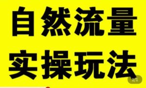 拼多多自然流量天花板,拼多多自然流的实操玩法,自然流量是怎么来的,如何开车带来自然流等知识-网赚资源网