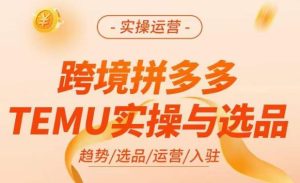 跨境拼多多TEMU实操与选品,掌握平台运营方法技巧,选品避坑12条标准,爆款的底层思路等-网赚资源网