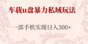 车载u盘暴力私域玩法,长期项目,仅需一部手机实现日入300+-网赚资源网