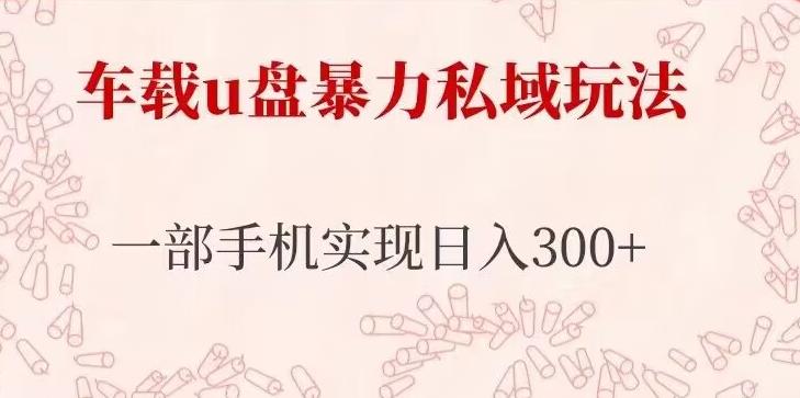 车载u盘暴力私域玩法，长期项目，仅需一部手机实现日入300+ - 网赚资源网-网赚资源网