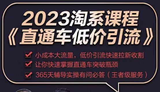 2023直通车低价引流玩法课程，小成本大流量，低价引流快速拉新收割，让你快速掌握直通车突破瓶颈 - 网赚资源网-网赚资源网