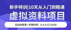 虚拟资料项目新手特训,10天从入门到精通,保姆级实操教学-网赚资源网
