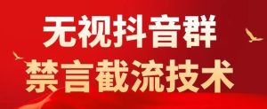 外面卖1500抖音粉丝群无视禁言截流技术,抖音黑科技,直接引流,0封号-网赚资源网