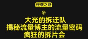 大光的拆迁队(30个片),揭秘博主的流量密码,疯狂的拆片会-网赚资源网