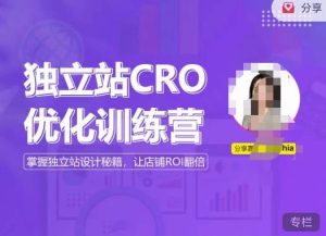 独立站CRO优化训练营,掌握独立站设计秘籍,打造高转化的独立站,让店铺ROI翻倍-网赚资源网