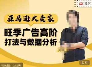 阿甘·亚马逊大卖家广告高阶打法与数据分析,走出传统广告误区;揭秘大卖惯用打法;数据驱动广告决策-网赚资源网