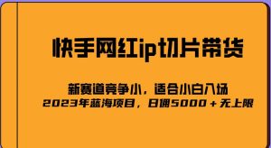 2023爆火的快手网红IP切片,号称日佣5000+的蓝海项目,二驴的独家授权-网赚资源网