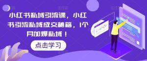 小红书私域引流课,小红书引流私域成交秘籍,1个月加爆私域!-网赚资源网