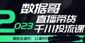 数据哥2023直播电商巨量千川付费投流实操课,快速掌握直播带货运营投放策略-网赚资源网