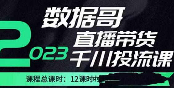 数据哥2023直播电商巨量千川付费投流实操课，快速掌握直播带货运营投放策略 - 网赚资源网-网赚资源网