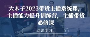 大木子2023带货主播系统课,主播能力提升训练营,主播带货必修课-网赚资源网