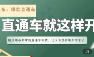 冠东·淘系直通车保姆级教程,全面讲解直通车就那么简单-网赚资源网