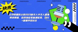云顶联盟彭小四2023新无人半无人直播带货教程,自然流起号鱼塘起号,OBS+直播伴侣玩法-网赚资源网